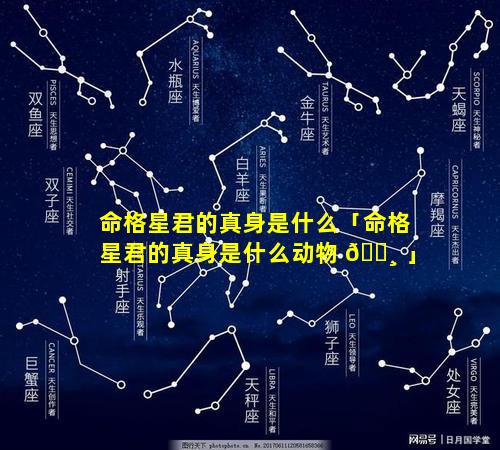 命格星君的真身是什么「命格星君的真身是什么动物 🌸 」